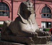 Musée du Caire - Jardins - sphinx (EG07-1083.jpg)