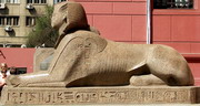 Musée du Caire - Jardins - sphinx (EG07-1115.jpg)