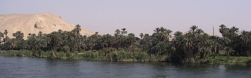 Vue du Nil - entre Edfou et Kom Ombo