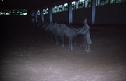 Xi An - Guerriers de l'empereur Qing Shi Huang Di