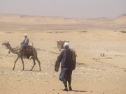 Saqqara - le père de Tarek y est guide (EG03-082.jpg)