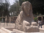 Memphis - sphinx (EG03-089.jpg)