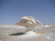 Désert blanc -