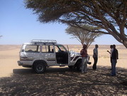 Entre Bahhareyia et le Fayoum (EG03-208.jpg)