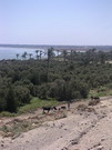 Fayoum (EG03-222.jpg)