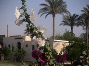 Abusir (EG03-245.jpg)