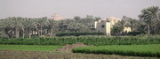 Abusir (EG03-246.jpg)