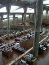 Alexandrie - bibliothèque Alexandrina (EG03-296.jpg)