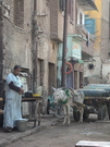 Louxor - scène de rue (EG04-1001.jpg)