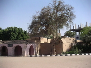 Thèbes ouest - New Gournah (Fathy Hassan)
