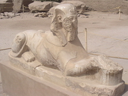 Karnak - sphinx