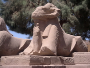 Karnak - sphinx du dromos, à tête de bélier