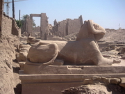 Karnak - dromos en cours de réfection, entre les domaines de Mout et d'Amon