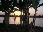 Louxor - île aux bananes (EG04-2155.jpg)
