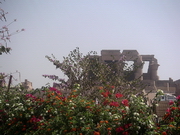 Kom Ombo - vue depuis les jardins