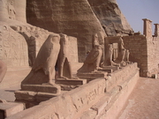 Abou Simbel - les Horus à l'avant du grand temple