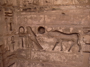 Thèbes ouest - Medinet Habou, des reliefs profondément creusés (EG05-3054.jpg)