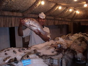 Alexandrie - restaurant Fish Market (EG05-3129.jpg)