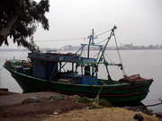 Rashid - port