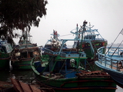 Rashid - port