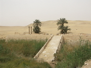 Saqqara - chaussée d'Ounas - temple bas