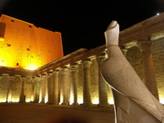 Edfou - salle péristyle (EG07-4390.jpg)