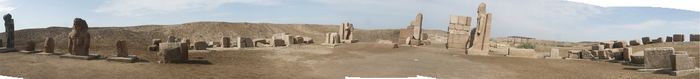 Tanis