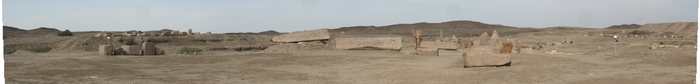 Tanis