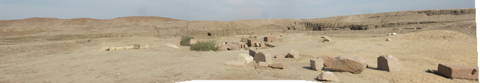Tanis