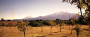 Puebla - campagne et volcans Iztaccihuati et Popocatépetl (5400m)