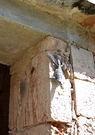 Uxmal - iguane