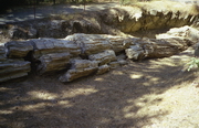 Petrified Forest