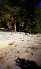 Devil'stockpile