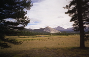 Yosemite