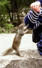 Yosemite