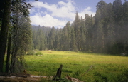 Sequoia National Park - Crescent Meadow