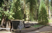 Sequoia National Park - cabane dans un arbre creux (CA75-16.jpg)