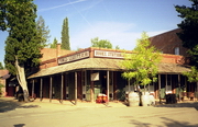 Sonora